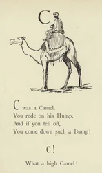 La lettera C